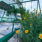 Apartment Stojan A1 Marina