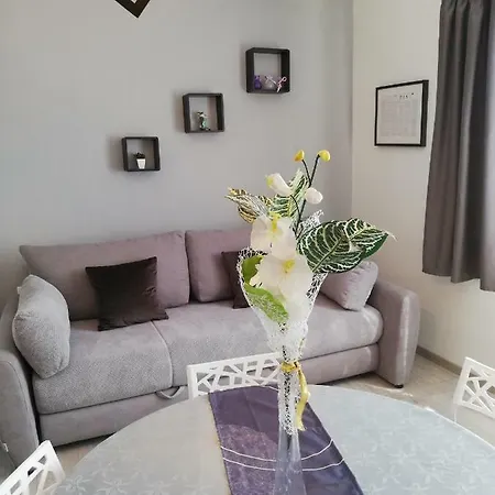 Stojan A1 * Marina